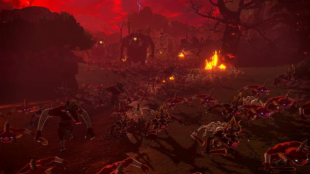Hyrule Warriors: Age of Imprisonment (UAE)