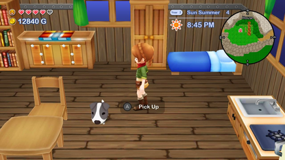 Harvest Moon: The Lost Valley & Skytree Village (US)