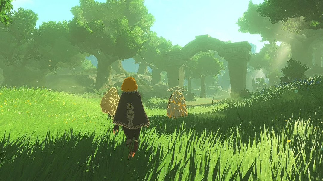 Hyrule Warriors: Age of Imprisonment (UAE)