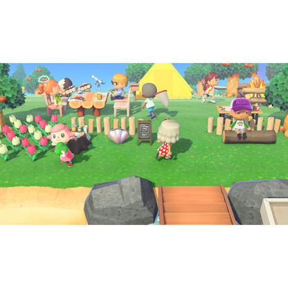 Animal Crossing: New Horizons - Nintendo Switch 2 Edition (US)