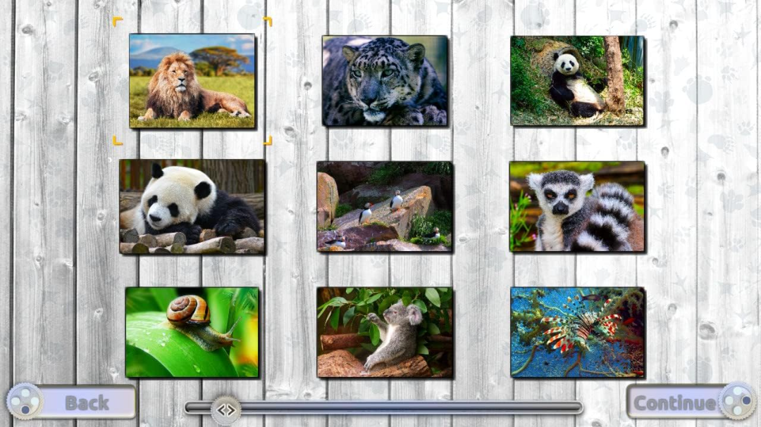 Puzzle XXL 3 In 1 Collection (EUR)