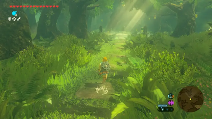 The Legend of Zelda: Breath of the Wild – Nintendo Switch 2 Edition (US)