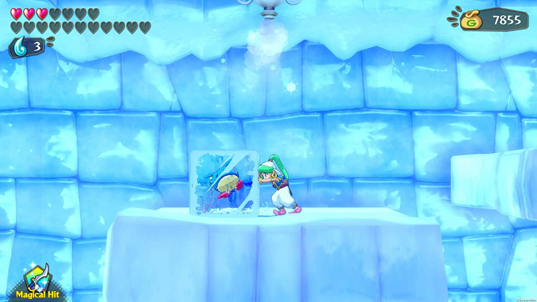 Wonder Boy: Asha In Monster World (EUR)