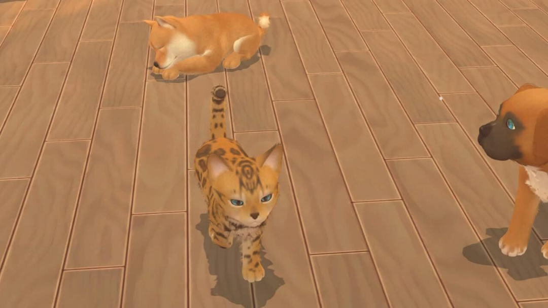 My Universe: Pets Edition Bundle (EUR)
