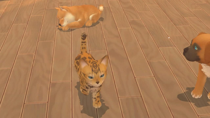 My Universe: Pets Edition Bundle (EUR)