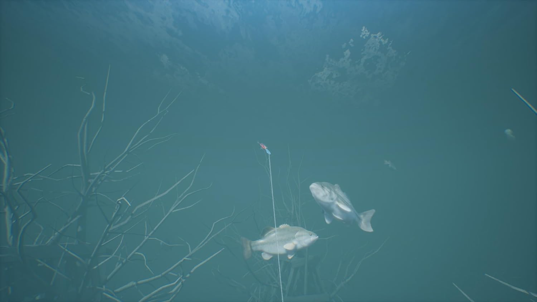Bassmaster - Fishing Deluxe (EUR)