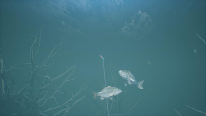 Bassmaster - Fishing Deluxe (EUR)