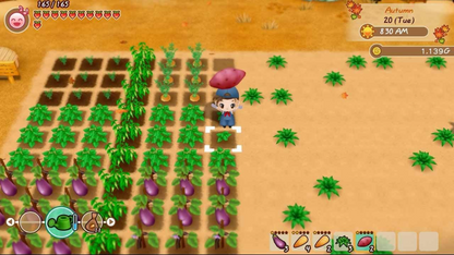 Story Of Seasons: Friends Of Mineral Town (EUR)