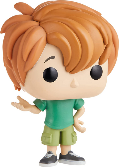 Scooby doo and shaggy funko deals pop